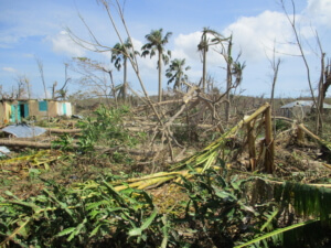 Caritas International België “Ze buigen maar ze breken niet” – Haïti na de doortocht van orkaan Matthew