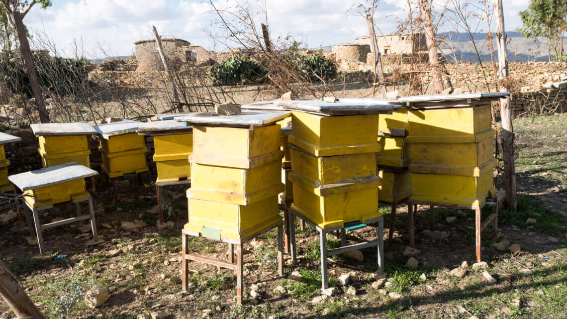 Caritas International België Over bloemetjes en bijen voor de mensen zonder grond