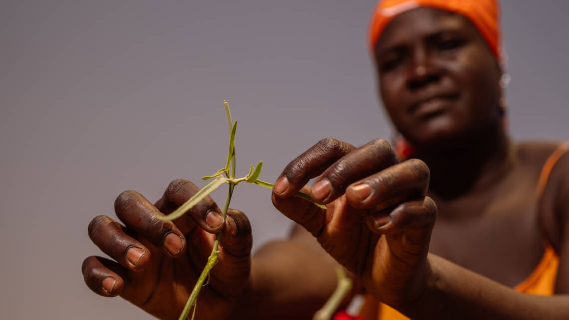 Caritas International België Circulaire migratie en voedselzekerheid in Niger [Long read]