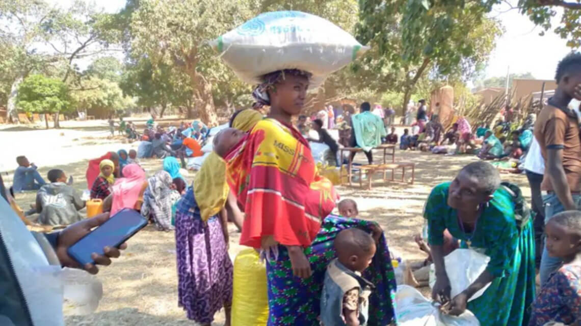 Caritas International Belgique Sauterelles, coronavirus et guerre augmentent l’insécurité alimentaire en Éthiopie