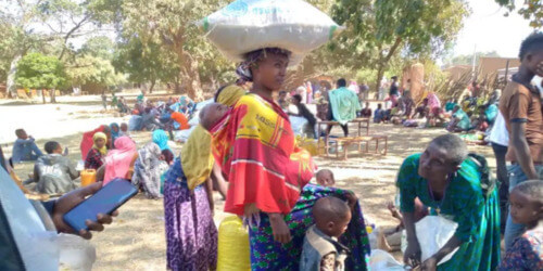 Caritas International Belgique Sauterelles, coronavirus et guerre augmentent l’insécurité alimentaire en Éthiopie
