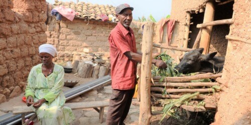 Caritas International België Rwanda: voedselhulp is nu het dringendst