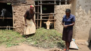 Caritas International België Rwanda: voedselhulp is nu het dringendst