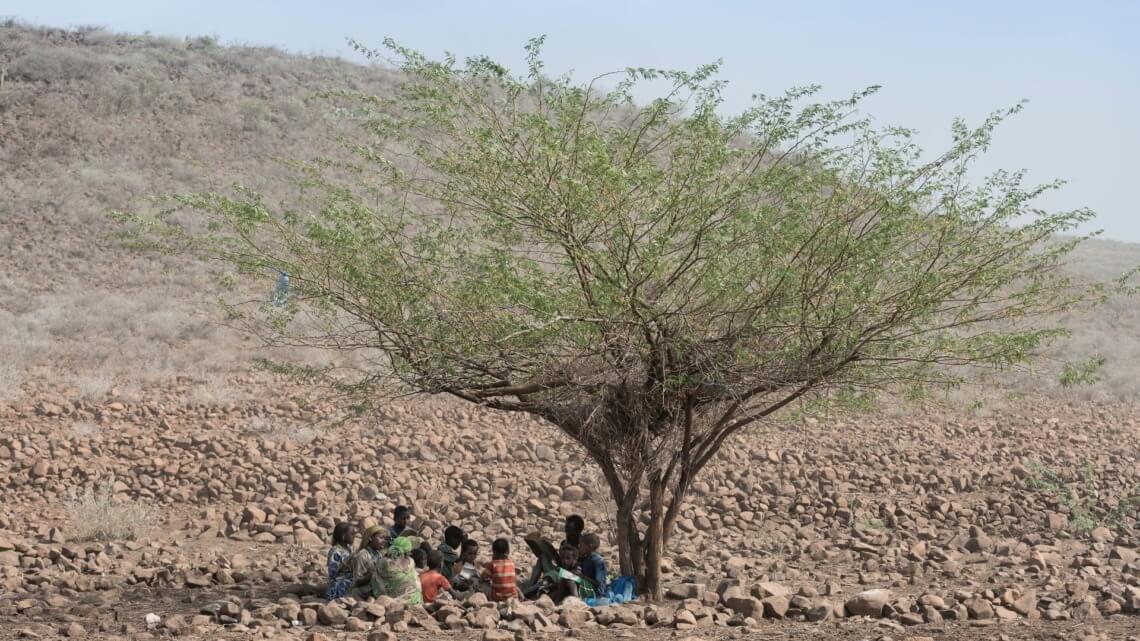 Caritas International Belgique Famine au Sahel et dans la Corne de l’Afrique : il faut agir urgemment