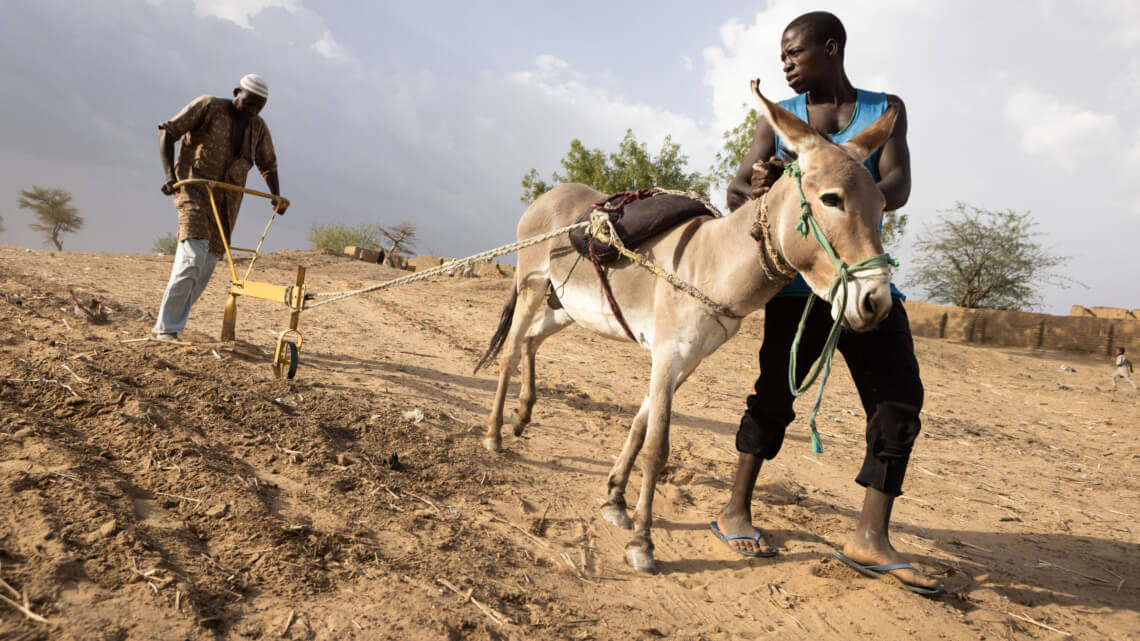 Caritas International België Klimaat en voedselonzekerheid in Niger: preventie, agro-ecologie en menselijke mobiliteit