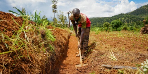 Caritas International België Agro-ecologie helpt Burundese boeren in strijd tegen klimaatopwarming