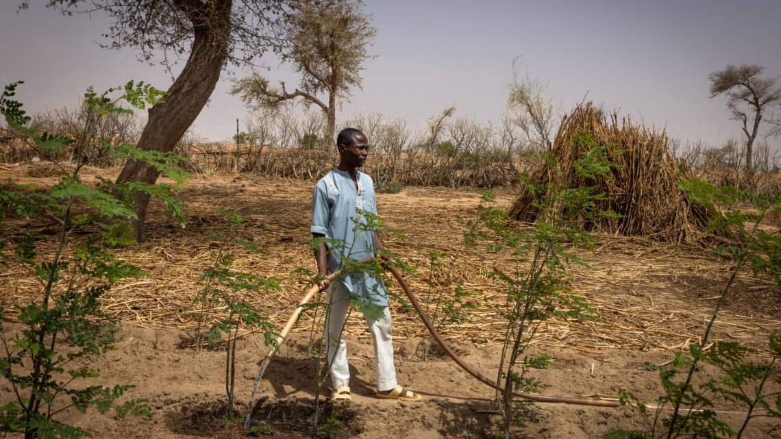 Caritas International Belgique Niger: restaurer champs et pâturages pour améliorer la sécurité alimentaire