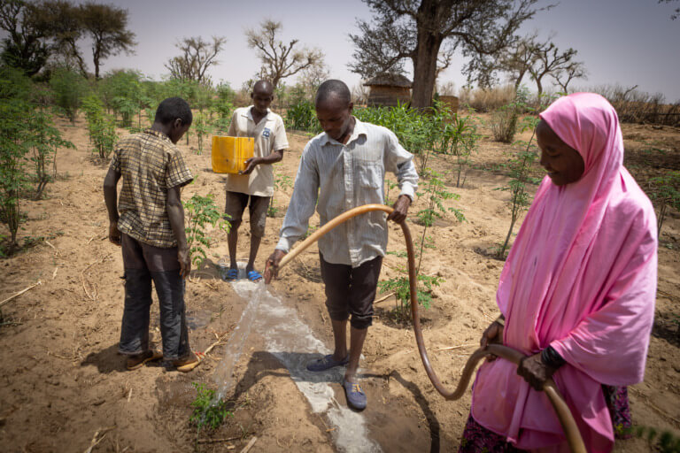 Caritas International België Niger: akkers en weidegronden herstellen om voedselzekerheid te verbeteren