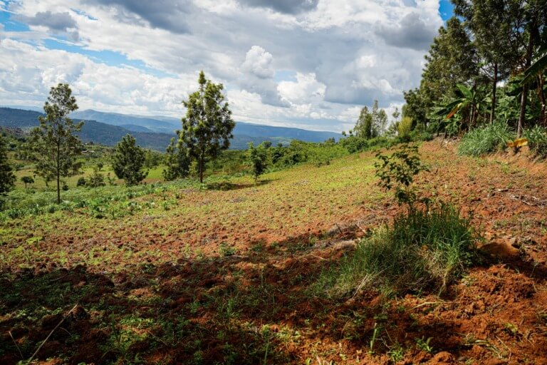 Burundi Coherence Getuigenis Beatrice landbouw