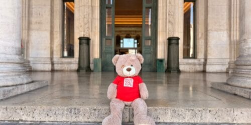 Quelle histoire derrière cet ours en peluche apparu dans nos rues ?